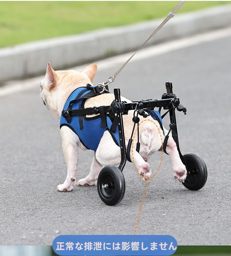 Amazon.co.jp: Pazzfre 犬猫用車椅子 2輪歩行器 犬用歩行補助具 犬用